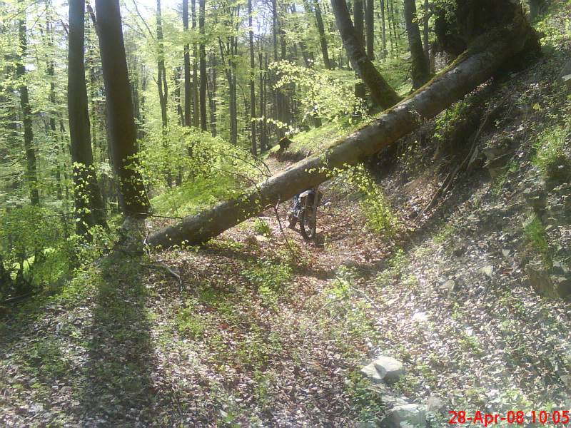 grade noch durchgekommen