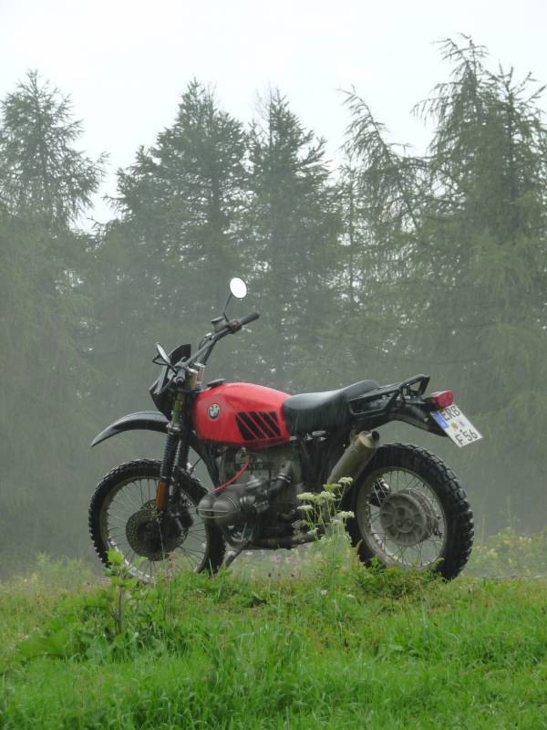 im Regen  (LGKS 2013)