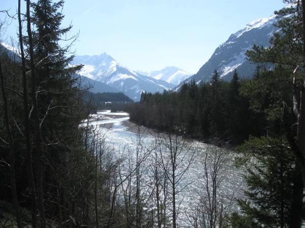 IMG 0147