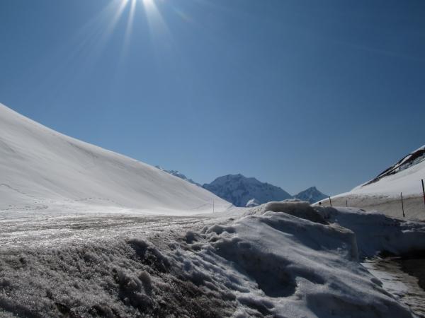IMG 0379