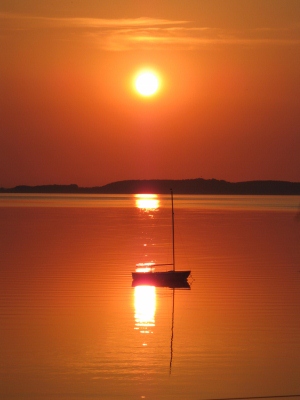 IMG 2221 (600x800) (300x400)