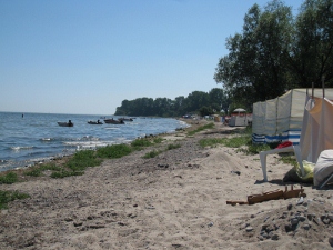 IMG 2270 (800x600) (300x225)