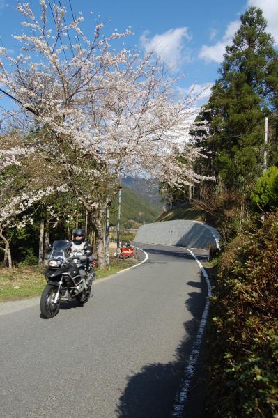 Mai 2010 5
