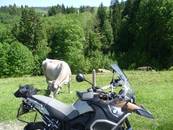 maibayern 070
