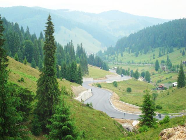 mestecanis pass 3