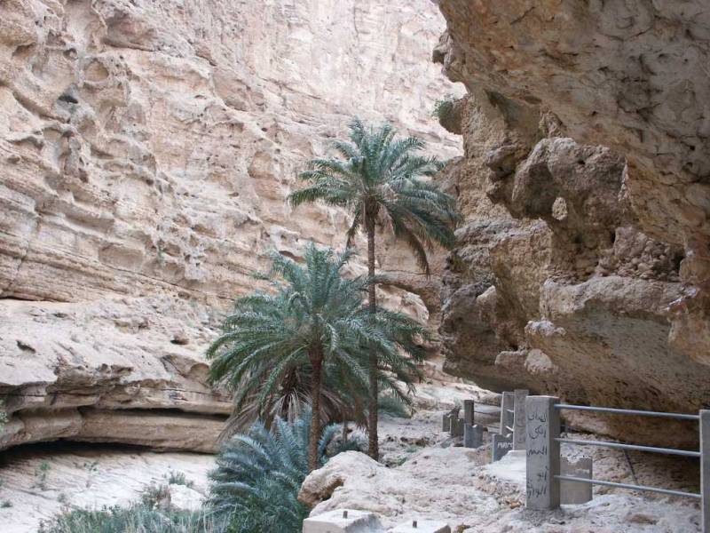 Oman_01