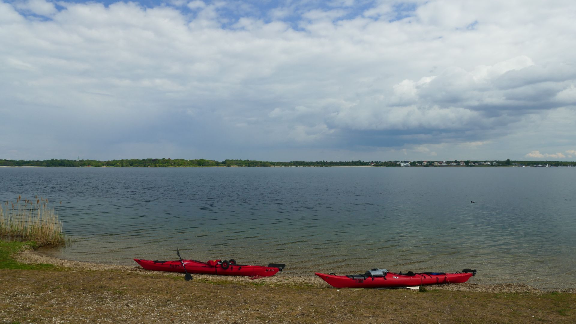P1110551.jpg