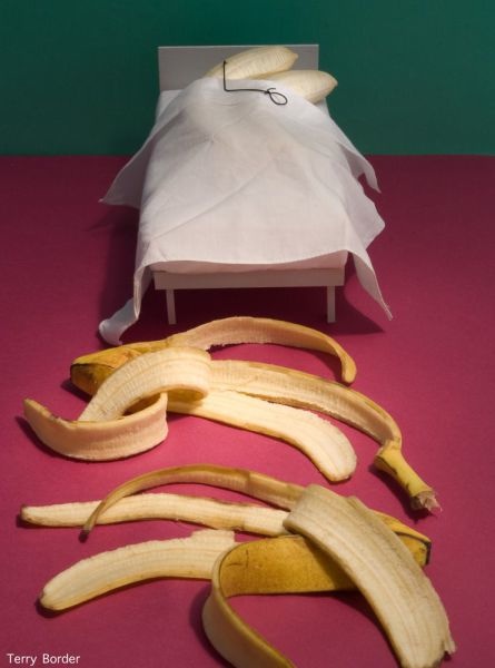 picdump 13 08 02 053