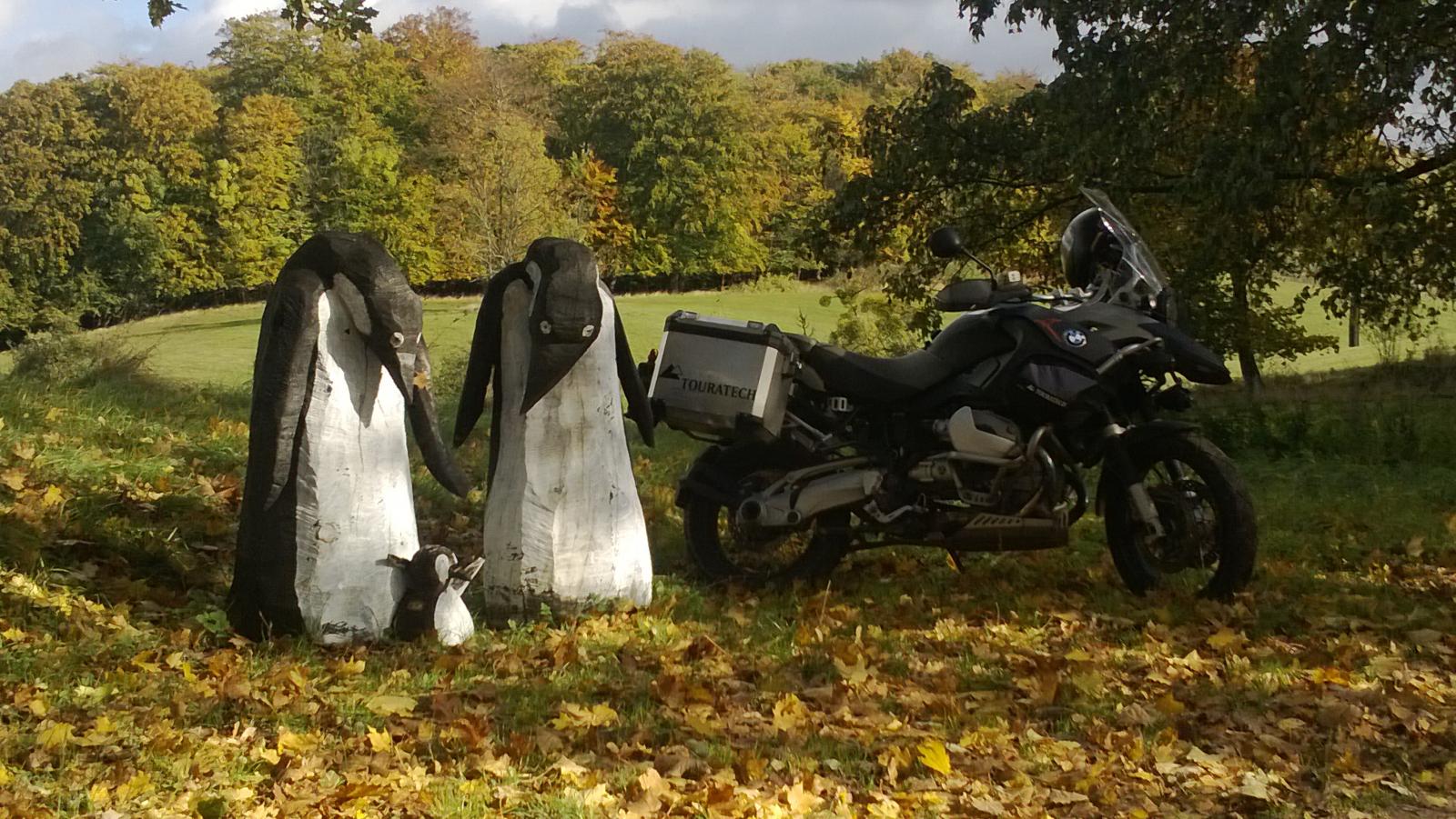 pinguine