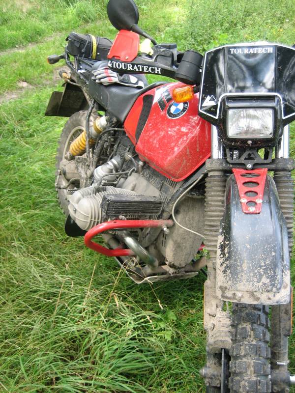 Q nach Auslauf im Weidegebiet