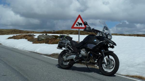 Q trifft Kuhschild 2