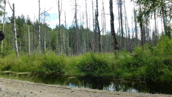 Sand-Wasser-Wald= endloses Karelien