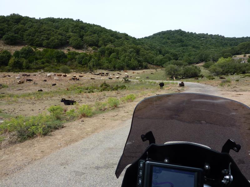 Sardegna