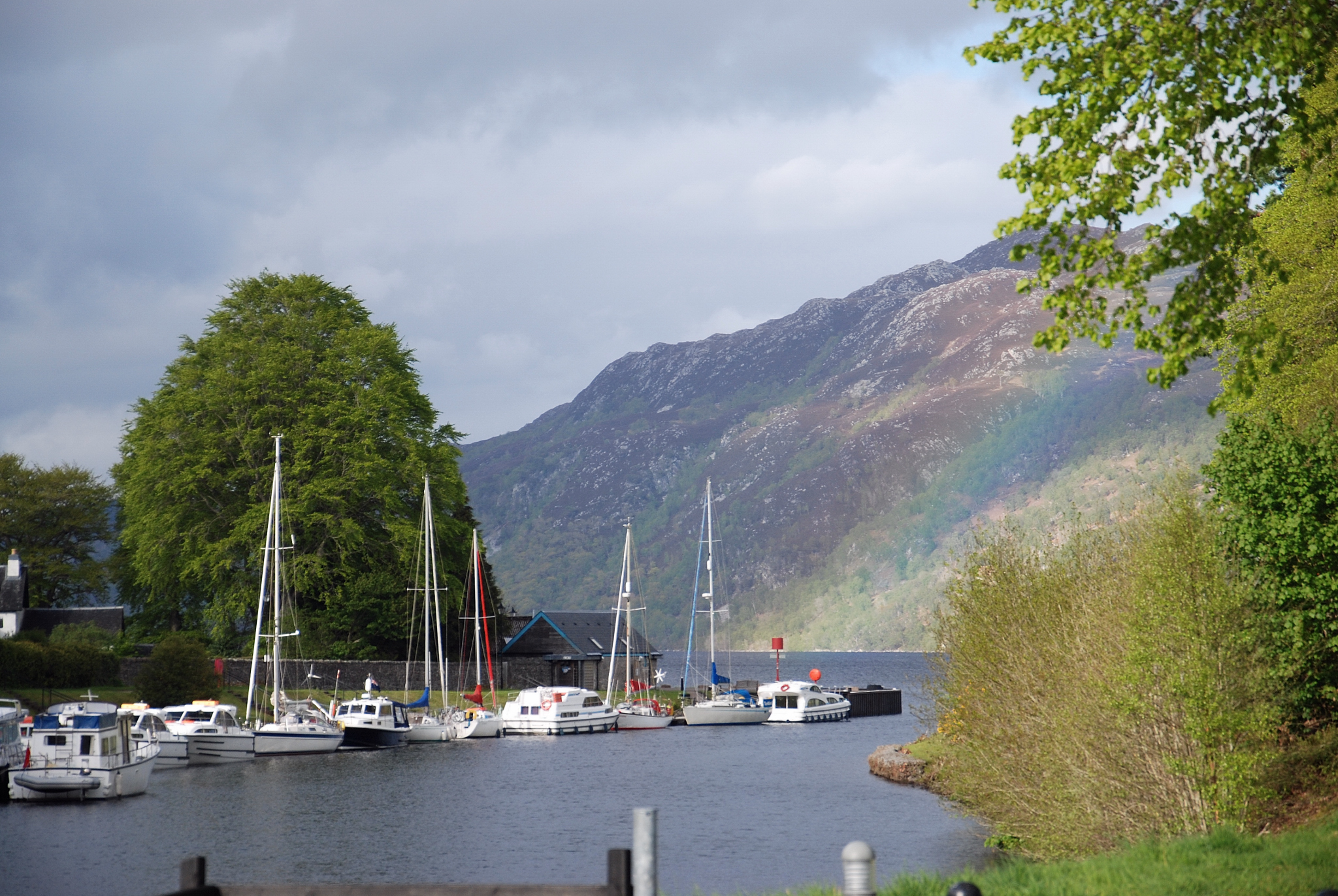 Schottland    250