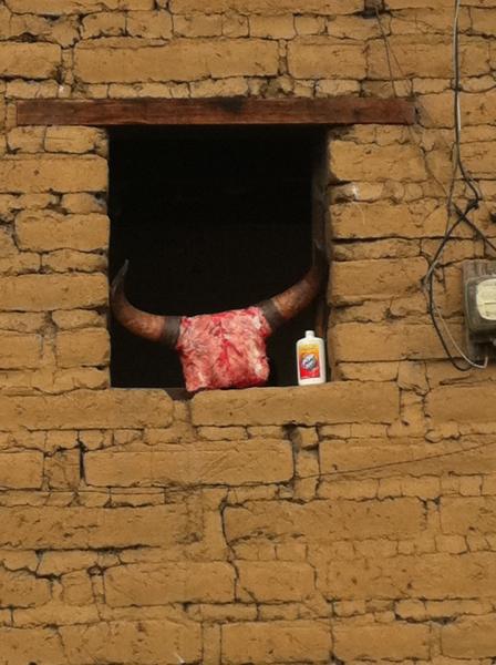 Schuafenster der Metzgerei