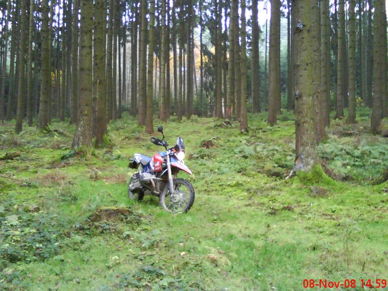 steht eine hp mitten im wald