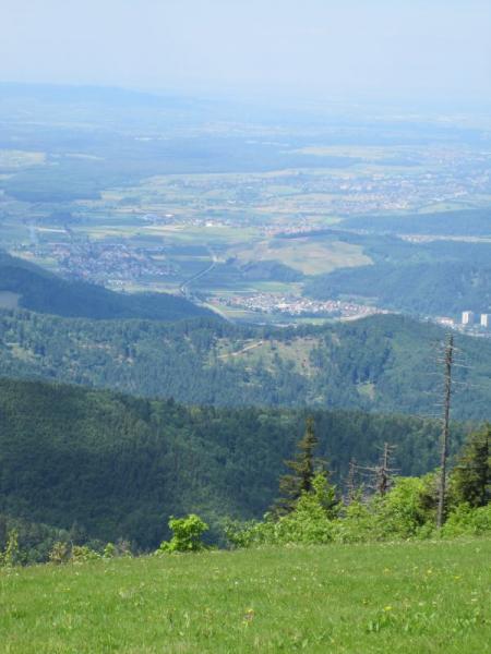 Strecke top - Aussicht herrlich!