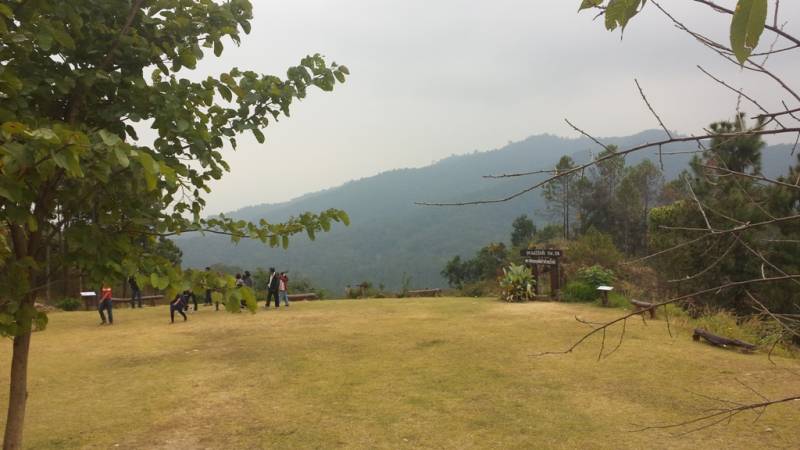 Thai27