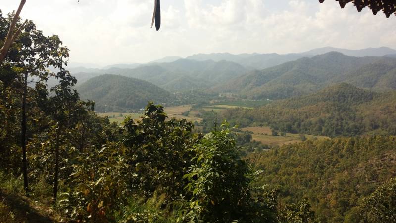 Thai36