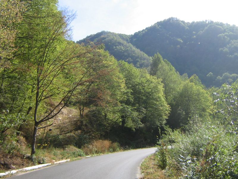 transalpina 030