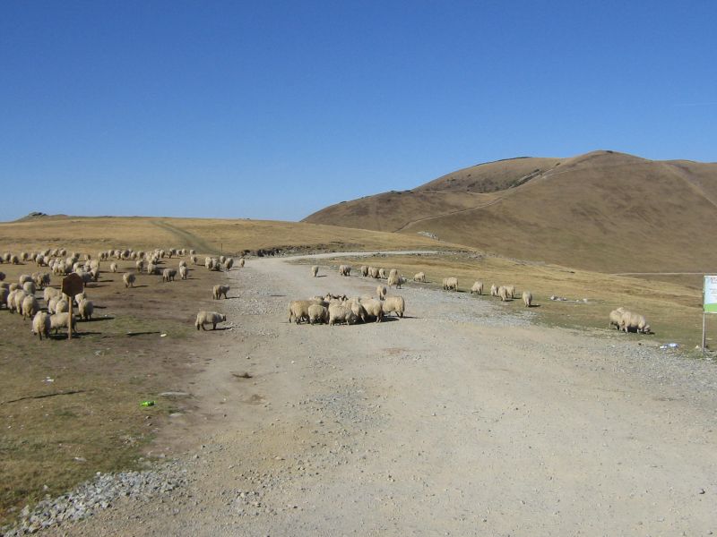 transalpina 091