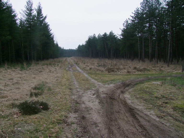 wald2